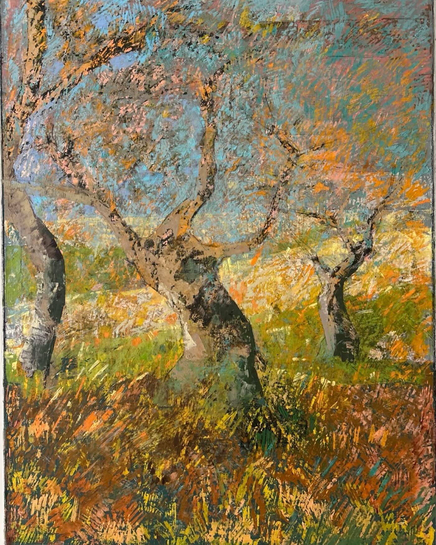 Oliveto, autunno